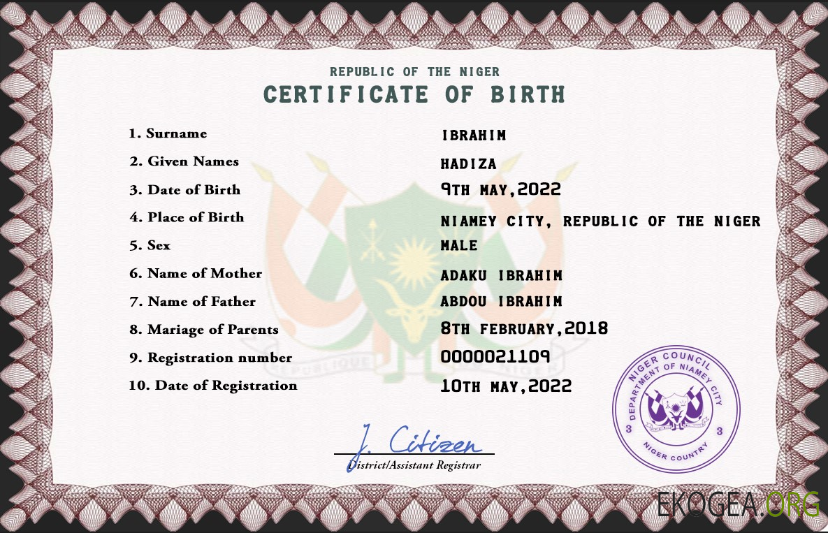 Modèle PSD de certificat de naissance de l'état civil du Niger